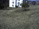 DSC0005.jpg