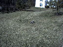 DSC0006.jpg