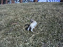 DSC0007.jpg