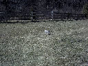 DSC0008.jpg