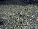 DSC0009.jpg