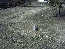 DSC0011.jpg