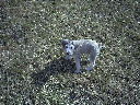 DSC0012.jpg