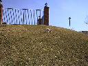 DSC0013.jpg