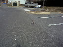DSC0014.jpg
