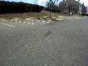 DSC0015.jpg