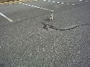 DSC0016.jpg