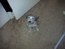 DSC0001.jpg
