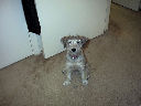 DSC0002.jpg