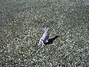 DSC0003.jpg