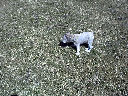 DSC0004.jpg