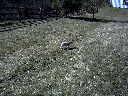 DSC0005.jpg