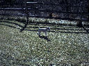 DSC0006.jpg
