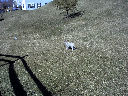 DSC0009.jpg