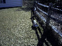 DSC0011.jpg