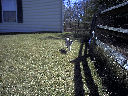 DSC0012.jpg