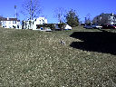 DSC0013.jpg
