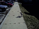 DSC0015.jpg
