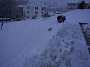 DSC0022.jpg