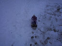DSC0024.jpg