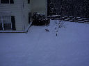DSC0025.jpg