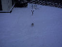 DSC0026.jpg