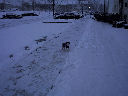 DSC0027.jpg