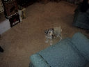DSC0030.jpg