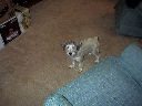 DSC0032.jpg