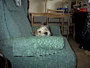 DSC0034.jpg