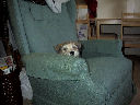 DSC0035.jpg