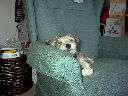 DSC0036.jpg