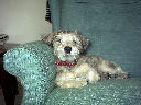 DSC0037.jpg