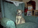 DSC0038.jpg