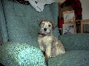 DSC0039.jpg