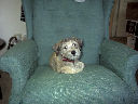 DSC0040.jpg