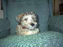 DSC0041.jpg