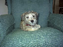 DSC0042.jpg