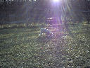 DSC0001.jpg