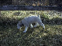 DSC0002.jpg