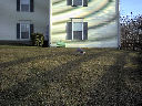 DSC0008.jpg