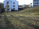 DSC0009.jpg