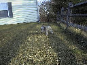 DSC0010.jpg