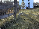 DSC0012.jpg