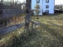 DSC0013.jpg