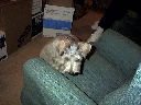 DSC0030.jpg