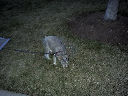 DSC0035.jpg