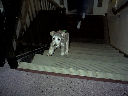 DSC0036.jpg